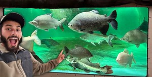 1.2K views · 76 reactions | Blake's Exotic Animal Ranch on Reels | Facebook