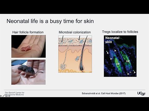 The Microbes Upon Us: How the Cutaneous Microbiome Promotes Skin Health