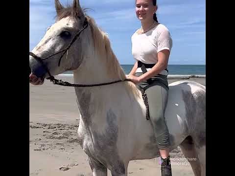 Bareback horseride on the beach