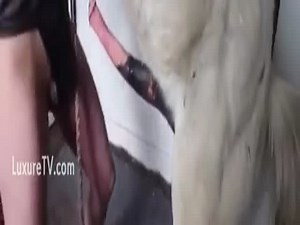 Teen likes her horse's dick in her tight pussy