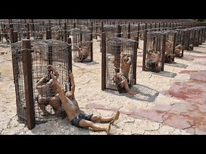 “Real-Life Prison Break: The Harrowing Survival of The Way Back”