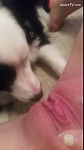 RUDE TEEN GIRL PISSES IN DOGS FACE IN MIDDLE OF GETTING ORAL