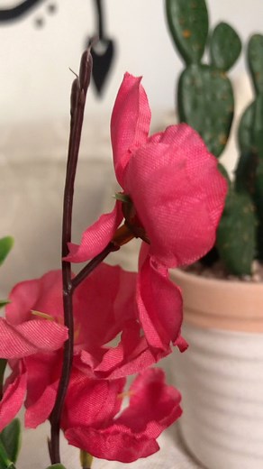 Jete jaquard double face 3m/2m20 Margoum disponible 1m50/2m20 Coussin 40cm/40cm Livraison à domicile 🏡🚛 | Dar zamen