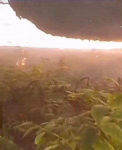 21K views · 1.6K reactions | Delving into the mysterious realm of Unidentified Flying Objects!  #UFO #Aliens | Alien & UFO Sightings | Facebook