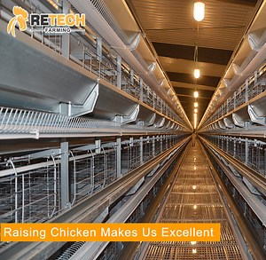 [Hot Item] H Type Chicken Layers Poultry Farming Cage for Sale