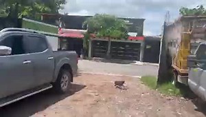 #19S Así fue el momento en que se registró el #sismo de 7.4 grados en Michoacán | Coracyt Noticias