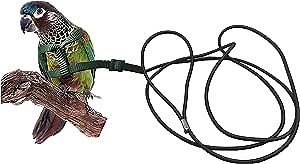 Bird Leash - Bird Harness for Conures- Adjustable Parrot Leash, Bird Nylon Rope, Anti Bite, Suitable for All Kinds of Small Parakeets Cockatiels, Conures, Macaws, Parrots, Love Birds, Finches