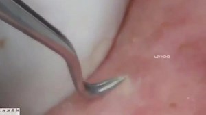 Creative Products on Reels