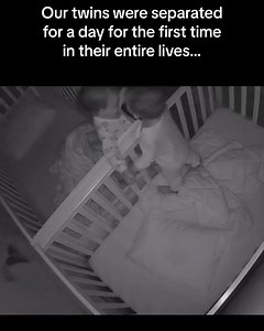 12 reactions | Twins redefine the word "inseparable," which makes...