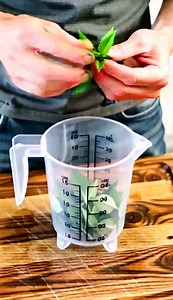 12K views · 62 reactions | Natural Remedy: Plantain Tea for Urinary Health #celebration | Take This Recipe | Facebook