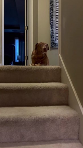 Charades with Belle!