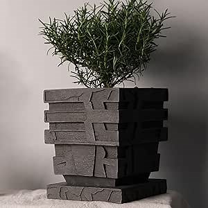 Chinese Ding Planters for Indoor Plants, 5 Inch Resin Plant Pots Indoor Bonsai Pots with Drainage and Tray, Crafted Unique Flower Pots for Gardening, Stylish Home Decor