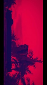 Get ready for 9 days of non-stop fun at Hard Rock Hotel Maldives Carnival 2024! 🎉🎊 Immerse yourself in thrilling activities and entertainment like Carnival Parade, Carnival Masquerade Party, Latin Dance Fitness, Samba Class and more. Indulge in delicious food and drinks and groove to amazing music experience. Don’t miss the excitement starting, 25th February, and let the festivities rock your world until, 4th March! Tag and share with your favorite person who will enjoy it with you 🤘🏾 #hardr