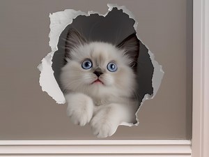 White Cat Hole Decal - Etsy Canada
