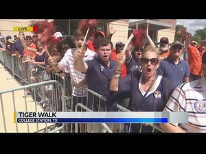Tiger Walk
