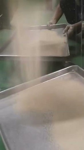 GR Powder Granulators Oscillating Granulators