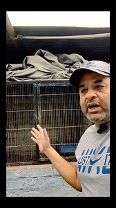 9.9K views · 200 reactions | Black Hen Eggs hatching Start baby chicks care | Asils World Of Faisal Butt | Facebook