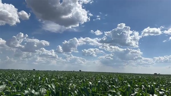 Botswana Agricultural Marketing Board - BAMB on Reels