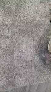 32K views · 172 reactions | Nouvelles collections ...