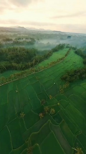 Positive Thinkers on Reels