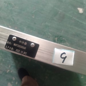 [Hot Item] Intercooler Wg9725530060