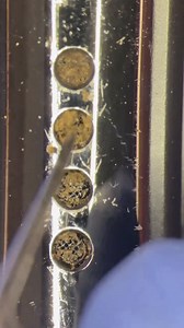 32K views · 262 reactions | #satisfying dirty phone #cleaning | Phone Fix Craft | Facebook