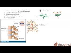 The gliding joints are important for gliding movements. One example of such a joint is between the