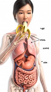 what happened inside your body when you eat Banana during pregnancy watch full video how baby growth and strong #babygrowth #pregnancy #pregnant