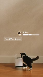 😎 Petlibro's latest Dockstream fountain makes multi-cat hydration tracking easy 😸💧 ✅RFID recognition with smart app control ✅Tracks up to 5 cats, including amount, frequency and duration ✅Sends alerts for low water levels and other irregularities ✅Detachable tank with ""pump-free"" design ✅Whisper quiet at 23dbs ✅Snap-release collar with RFID tag | Petlibro