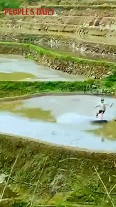 39 reactions | Surfing on the terraced fields! See how a professional surfer shows off his stunning moves at Jiabang terraced fields in southwest China's Guizhou Province. | VideoChina | Facebook