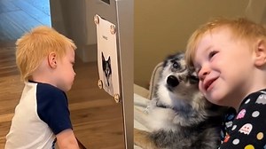 A toddler shows a heart wrenching display of grief as he stares at a picture of his beloved dog. | The Canton Repository / CantonRep.com
