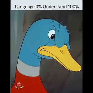 194K views · 3.6K reactions |  | Memes Virus | Facebook