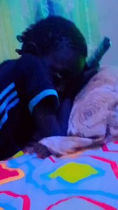 16K views · 746 reactions | Sama Dome bi néna Sonko la andal  caméra cachée d lakko déf mai limou wakh si fin si vidéo bi la comprendroul diapalén Massi | Ababacar Mbengue | Facebook