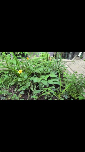 Красота в Нижнем Новгороде