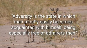 Top 20 John Wooden Quotes - (Author of Wooden). @DailyQuotesHD. #JohnWooden #WoodenWisdom #CoachWooden #WoodenLegacy #PyramidofSuccess #LeadershipLessons #SuccessPrinciples #UCLABasketball #WoodenQuotes #CharacterBuilding #BasketballLegend #InspirationFromWooden #CoachingPhilosophy #TeamworkMatters #LifeLessons #Woodenisms #WinningAttitude #SuccessMindset #WoodenLegacyContinues #LeadershipExcellence #JohnWoodenQuotes. | Positive Quotes