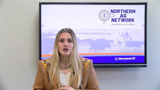 APHIS Efforts are Improving Screwworm Situation, Federal Funding Freeze Rescinded, Impact of Mass Deportations on Livestock Industry, and Senators Introduce Bill to Delist Grizzly in the Greater Yellowstone Ecosystem. | Northern Ag Network | Facebook