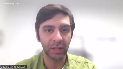 This invasive moth could threaten Virginia's historic sites