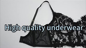 Erotic Intimate Transparent Lingerie Sheer Lace Bra Fancy Garter Thong Sexy Underwear Women Exotic Set