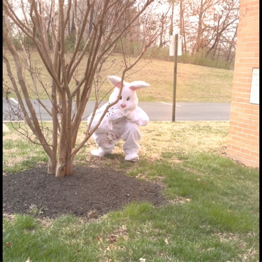 Hippity-hop! Introducing The Blessed Bunny! 🐰✨ Join us for the F.R.A.M.E. Easter Treasure Hunt: Silly Rabbit, Easter Is for Jesus! ✝️ Come out for faith-filled fun, an egg-citing hunt 🥚🔍 Saturday, April 19th | 1PM–3PM 2145 Pine Ave, Windsor Mill, MD 21244 Let’s celebrate the true meaning of Easter with joy, laughter, and love! 💜🐣🌸 | Falls Road A.M.E Church