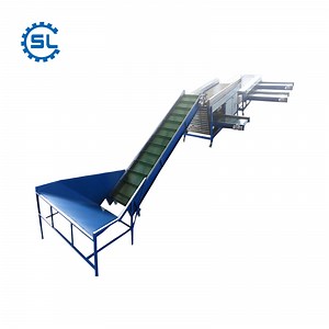 Advanced Potato Sorting System for Efficient Processing Solutions