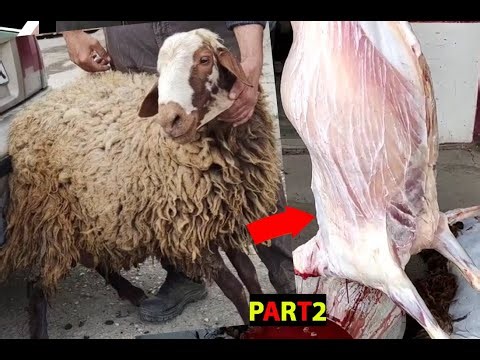 Take Your Butchery Skills to the Next Level: Sheep Skinning Done Right