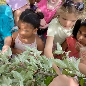 Five reasons Bhakti Arts Summer Camp is the place for your children...