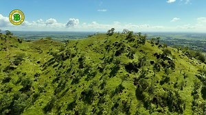 𝗜𝗻 𝗰𝗲𝗹𝗲𝗯𝗿𝗮𝘁𝗶𝗼𝗻 𝗼𝗳 𝘁𝗵𝗲 𝗡𝗮𝘁𝗶𝗼𝗻𝗮𝗹 𝗘𝗹𝗲𝗰𝘁𝗿𝗶𝗳𝗶𝗰𝗮𝘁𝗶𝗼𝗻 𝗔𝘄𝗮𝗿𝗲𝗻𝗲𝘀𝘀 𝗠𝗼𝗻𝘁𝗵 (𝗡𝗘𝗔𝗠), 𝘄𝗲 𝘁𝗼𝗼𝗸 𝗮𝗰𝘁𝗶𝗼𝗻 𝗳𝗼𝗿 𝗮 𝗴𝗿𝗲𝗲𝗻𝗲𝗿 𝗳𝘂𝘁𝘂𝗿𝗲! Today, the Isabela-I Electric Cooperative, Inc. joined hands with our community for a 𝗺𝗲𝗮𝗻𝗶𝗻𝗴𝗳𝘂𝗹 𝘁𝗿𝗲𝗲-𝗽𝗹𝗮𝗻𝘁𝗶𝗻𝗴 𝗲𝘃𝗲𝗻𝘁 𝗮𝘁 𝗦𝗶𝘁𝗶𝗼 𝗘𝘀𝘁𝗮𝗺𝗽𝗮, 𝗖𝗮𝗽𝗶𝗿𝗽𝗶𝗿𝗶𝘄𝗮𝗻, 𝗖𝗼𝗿𝗱𝗼𝗻, with the goal to support electrification awareness while giving back to our environment.