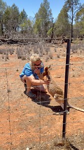 17M views · 334K reactions | Not every rescue has a happy ending ...