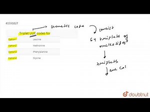 Triplet UUC codes for