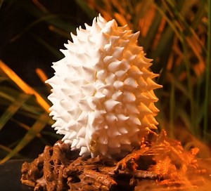 So tasty & so easy to make! Homemade dessert recipes for you to try! 🍰 | 5-Minute Crafts