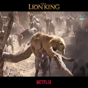 The best and most worth-watching movies in 2023 | White Laguna - Ladies beach | Facebook