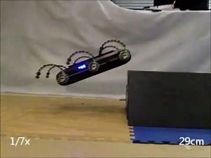 Does This Acrobatic Robot Have Olympic Aspirations?