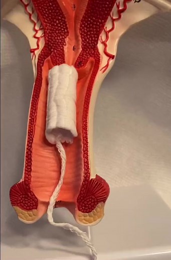 3.4K views | #tampon #period #periods #ishould #modwifemama#TubiTaughtMe | MidwifeMama | Facebook