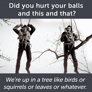 The Armstrong & Miller Show is now available to stream on BritBox! Hectic. What’s your favourite Armstrong & Miller sketch? Hat Trick Productions Ltd Hat Trick International #BritBox | BritBoxTV
